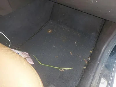 2019 Genesis G80 NONE VIN: