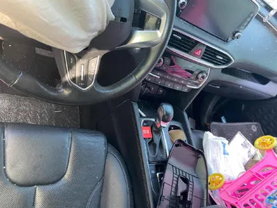2020 Hyundai Santa FE KMHS381ABLU276320 VIN:KMHS381ABLU276320