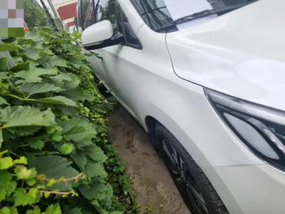 2019 Kia Carnival VIN: