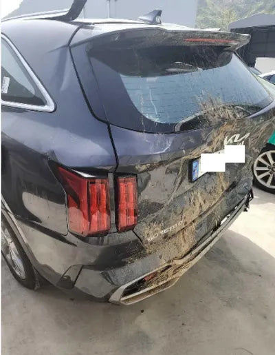 2023 Kia Sorento KNARF81FGPA182439 VIN:KNARF81FGPA182439