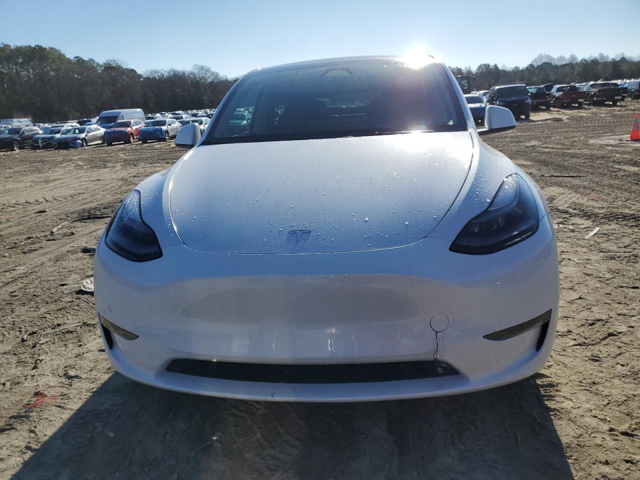 2024 TESLA MODEL Y  VIN:7SAYGDED1RF169639