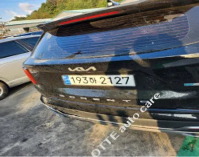 2022 Kia Sorento KNARL81GBNA091700 VIN:KNARL81GBNA091700