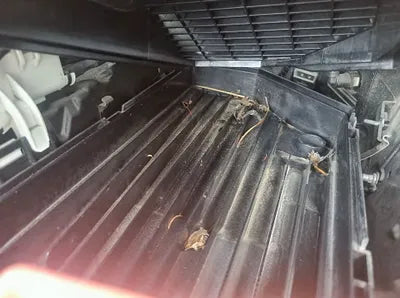 2018 Mercedes-Benz S 350 WDDUF2BB9JA409819 VIN:WDDUF2BB9JA409819