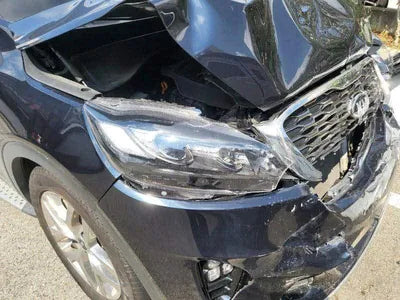 2019 Kia Sorento KNAPK81BBLA562518 VIN:KNAPK81BBLA562518