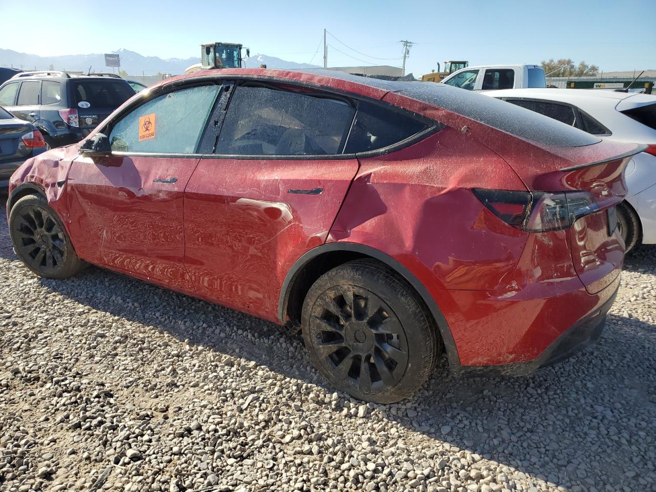 2023 TESLA MODEL Y  VIN:7SAYGDEE6PF877777