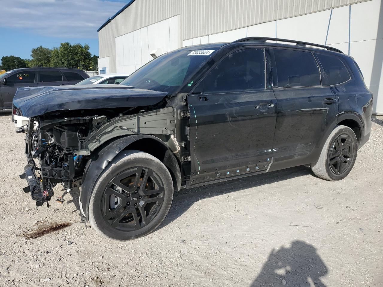 2024 KIA TELLURIDE EX VIN:5XYP3DGC7RG455397