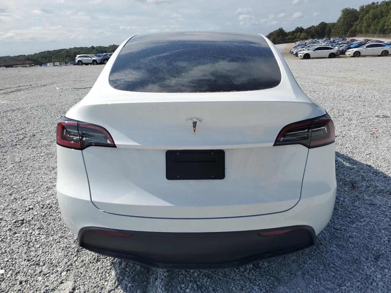 2024 TESLA MODEL Y  VIN:7SAYGDED1RA301120