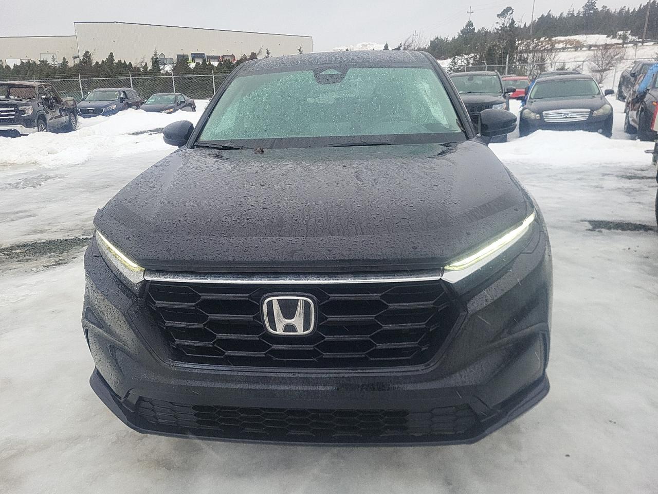 2024 HONDA CR-V LX VIN:2HKRS4H26RH113711