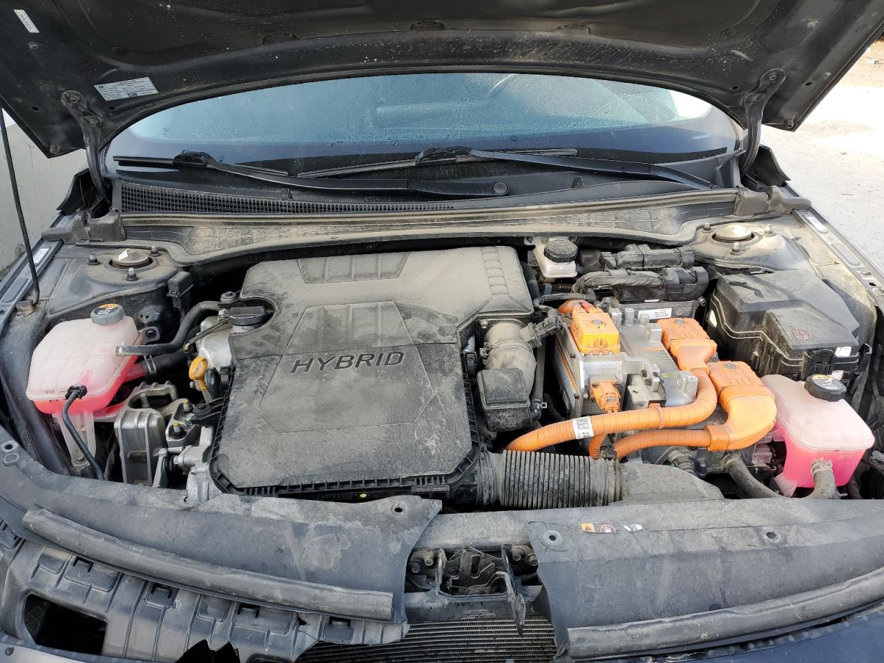 2023 HYUNDAI ELANTRA LIMITED VIN:KMHLN4AJ8PU037017