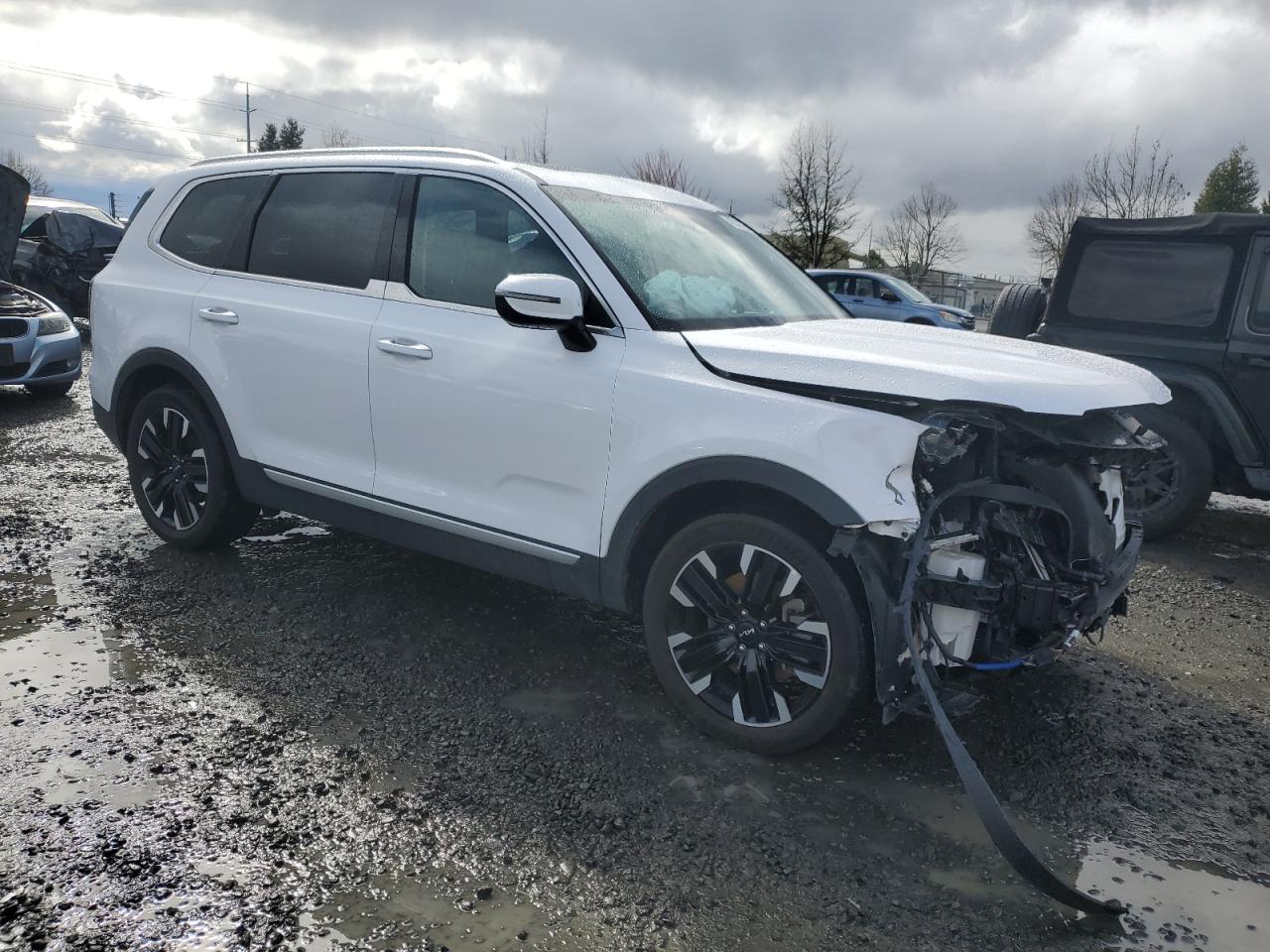 2023 KIA TELLURIDE SX VIN:5XYP5DGC9PG350576