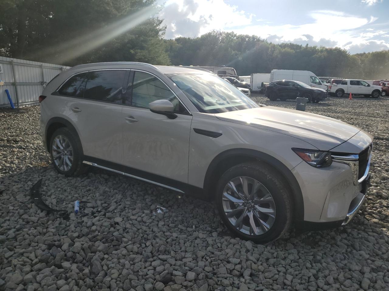 2024 MAZDA CX-90 PREMIUM PLUS VIN:JM3KKEHD7R1173116