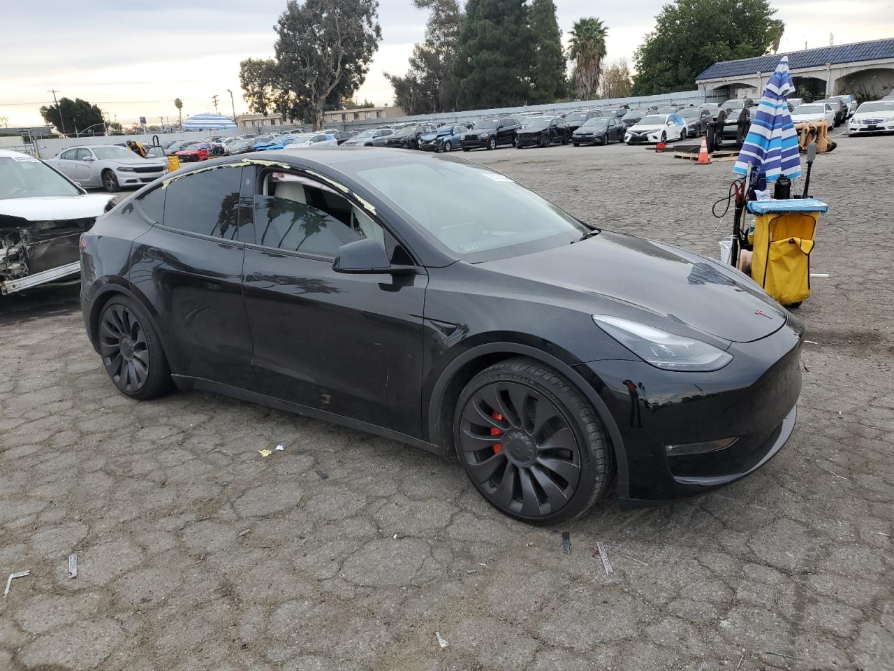 2023 TESLA MODEL Y  VIN:7SAYGDEF7PF750691