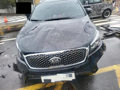 2017 Kia Sorento KNAPS81ABHA319110 VIN:KNAPS81ABHA319110