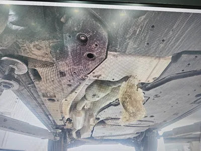 2021 Toyota RAV4 JTMW2RFV4MD068621 VIN:JTMW2RFV4MD068621