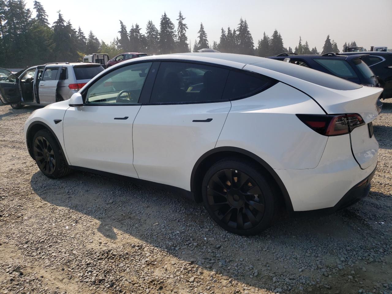 2023 TESLA MODEL Y  VIN:7SAYGDEE2PF626450
