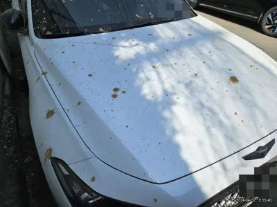 2018 Genesis G70 VIN: