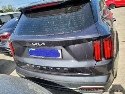 2022 Kia Sorento KNARK81BGNA118625 VIN:KNARK81BGNA118625