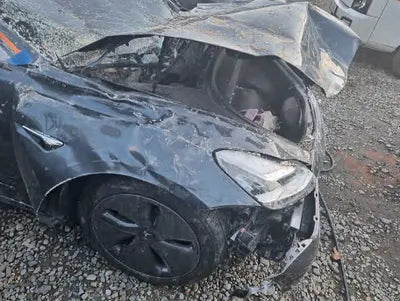 2020 Tesla Model 3 5YJ3E1EB0LF750728 VIN:5YJ3E1EB0LF750728