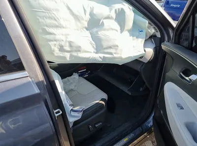 2021 Hyundai Santa FE KMHS581HGMU312114 VIN:KMHS581HGMU312114