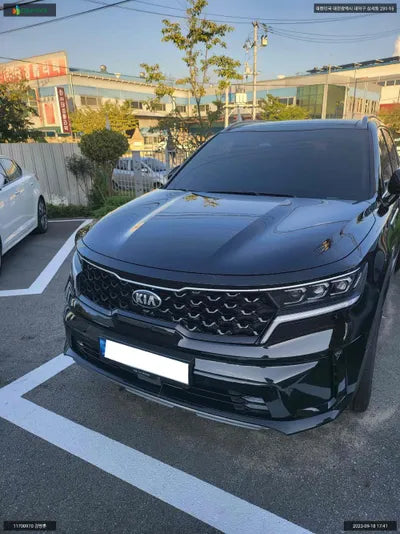 2020 Kia Sorento KNARH81BGMA055454 VIN:KNARH81BGMA055454