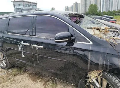 2017 Kia Carnival KNAMC81ABHS281610 VIN:KNAMC81ABHS281610