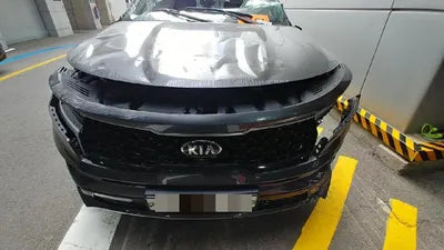 2020 Kia Sorento KNARG81BGMA017381 VIN:KNARG81BGMA017381