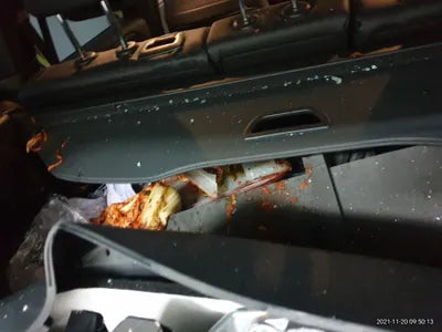 2021 Mercedes-Benz B 200 W1N4M1CB7MW113125 VIN:W1N4M1CB7MW113125