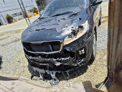 2017 Kia Sorento KNAPS81BBJA419260 VIN:KNAPS81BBJA419260