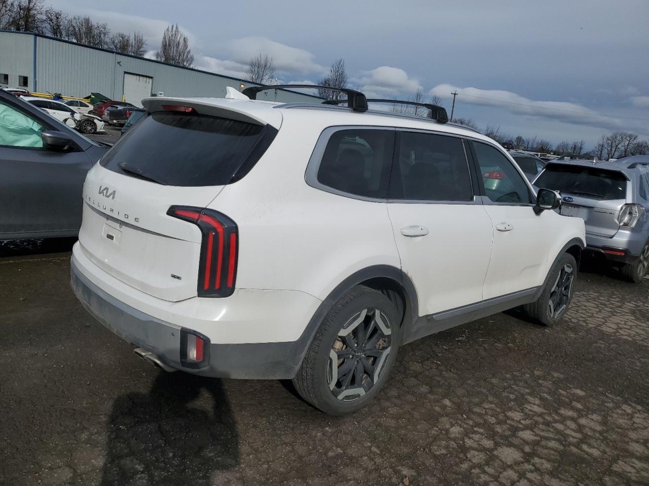 2024 KIA TELLURIDE EX VIN:5XYP3DGC2RG451676