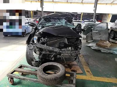 2019 Kia Sorento KNAPS81BBLA557183 VIN:KNAPS81BBLA557183