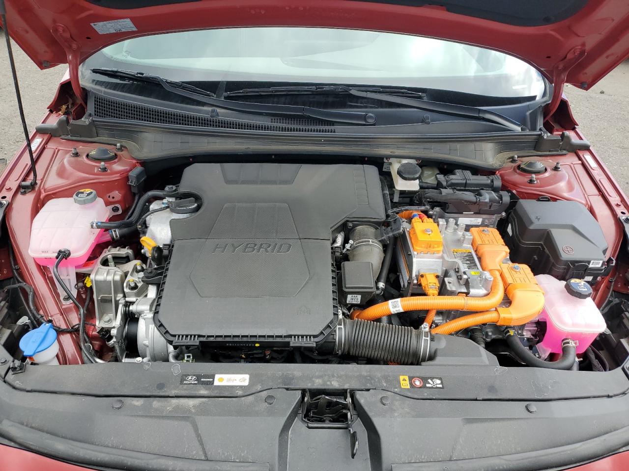 2023 HYUNDAI ELANTRA BLUE VIN:KMHLM4AJXPU081118