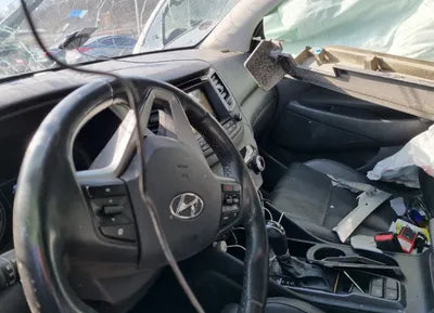 2017 Hyundai Tucson KMHJ2815GHU277164 VIN:KMHJ2815GHU277164
