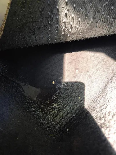 2021 Mercedes-Benz E 250 VIN: