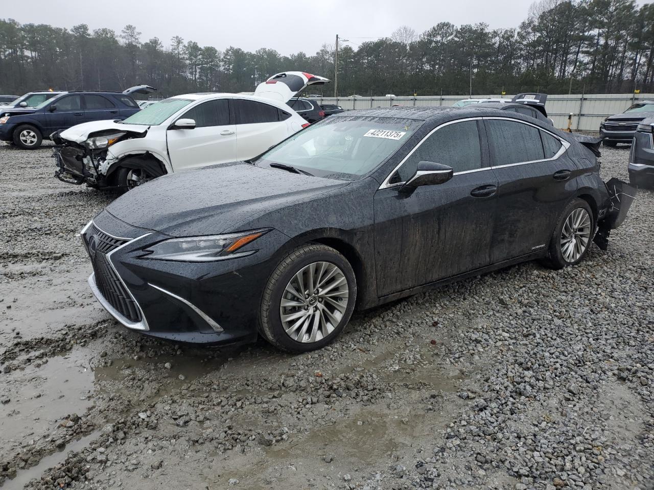 2022 LEXUS ES 300H BASE VIN:58AFA1C19NU023900