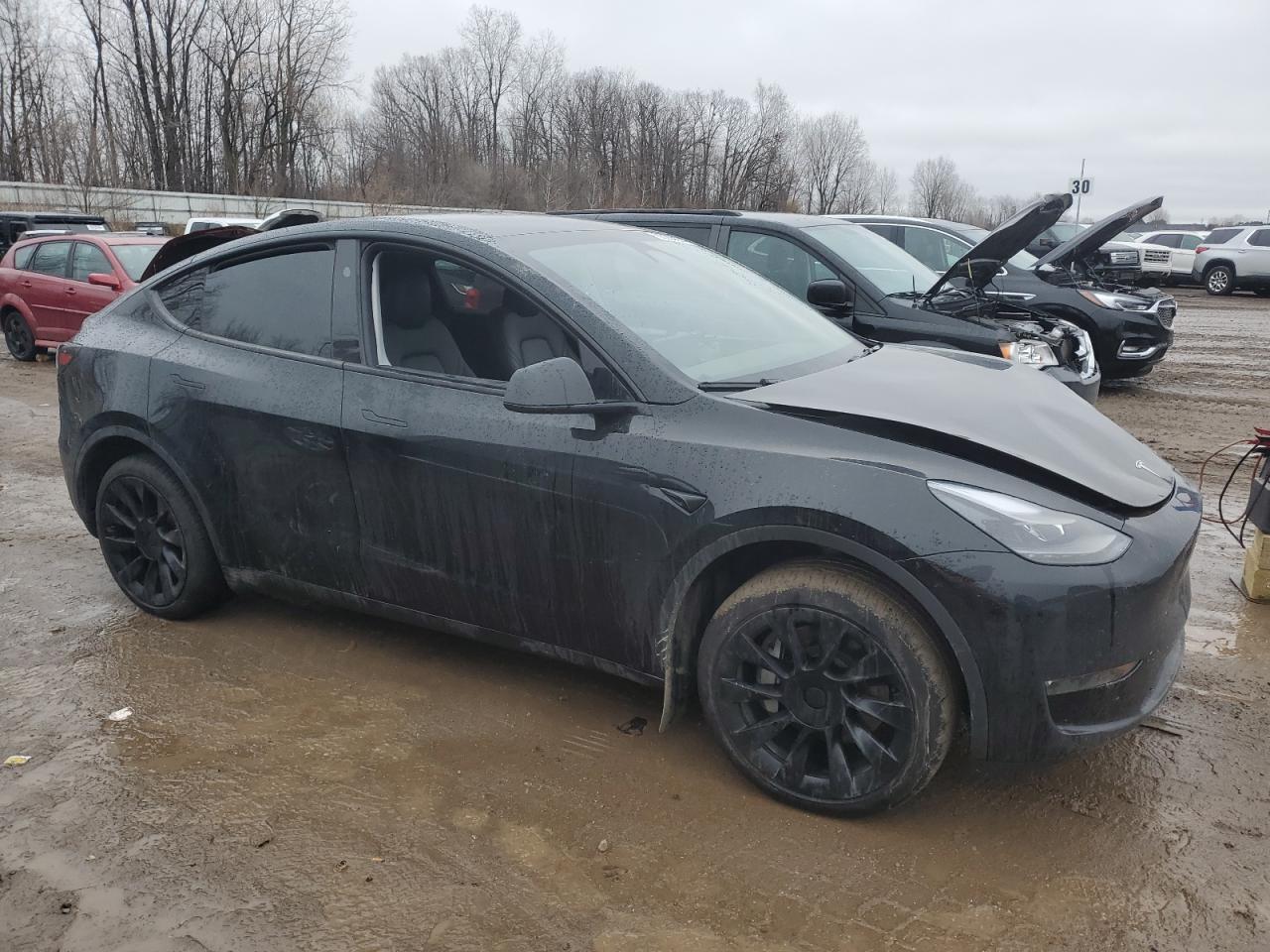2023 TESLA MODEL Y  VIN:7SAYGDEE8PA189650