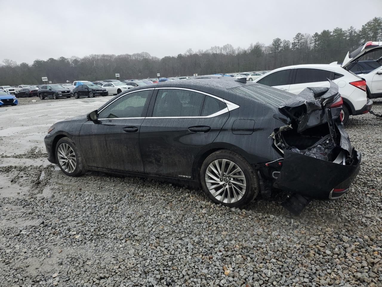 2022 LEXUS ES 300H BASE VIN:58AFA1C19NU023900