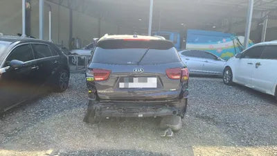 2019 Kia Sorento KNAPS81ABLA591712 VIN:KNAPS81ABLA591712