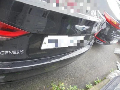 2015 acupuncture nessis 3.8 VIN: