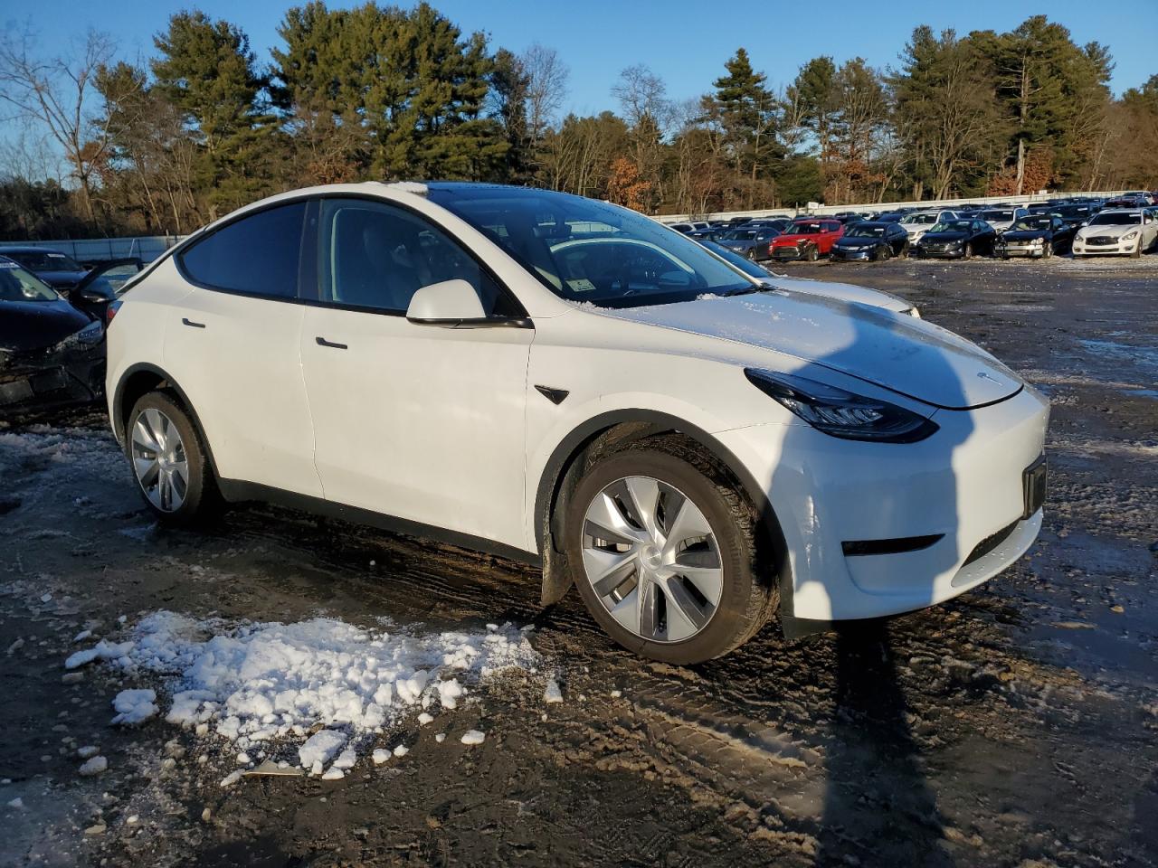 2023 TESLA MODEL Y  VIN:7SAYGDEE5PA129745