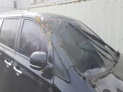 2018 Kia Carnival KNAMB81ABKS467554 VIN:KNAMB81ABKS467554