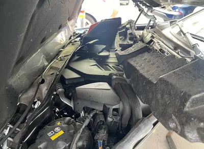 2021 BMW 320 WBA6L5106MFK42613 VIN:WBA6L5106MFK42613