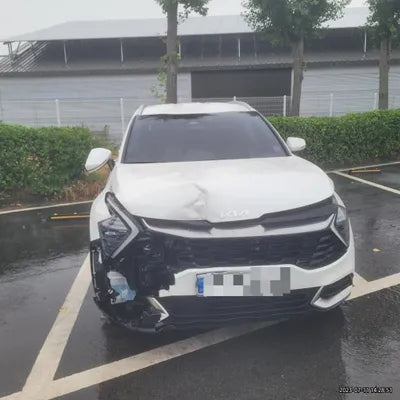 2022 Kia Sportage KNAPV81GBNK017288 VIN:KNAPV81GBNK017288