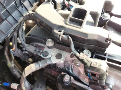 2021 Kia Sorento KNARH81FGNA137783 VIN:KNARH81FGNA137783