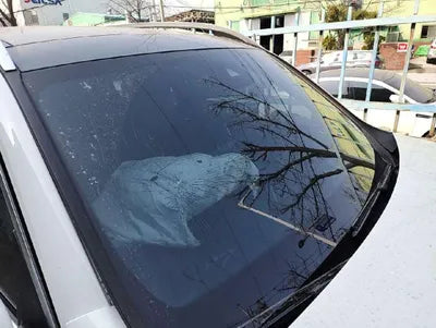 2021 Mercedes-Benz B 220 VIN: