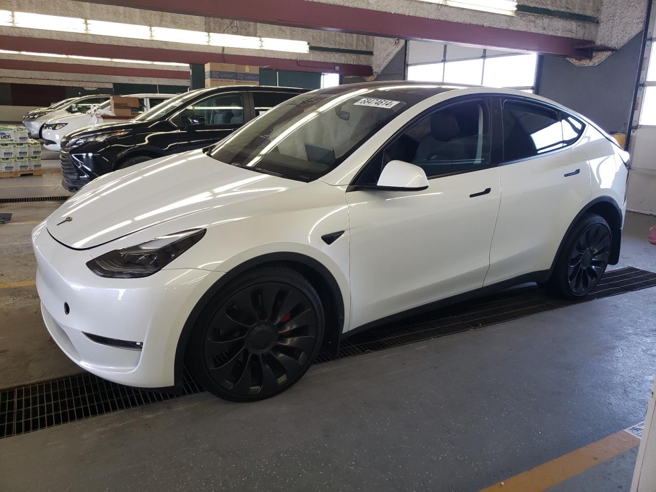 2023 TESLA MODEL Y  VIN:7SAYGDEFXPF788349