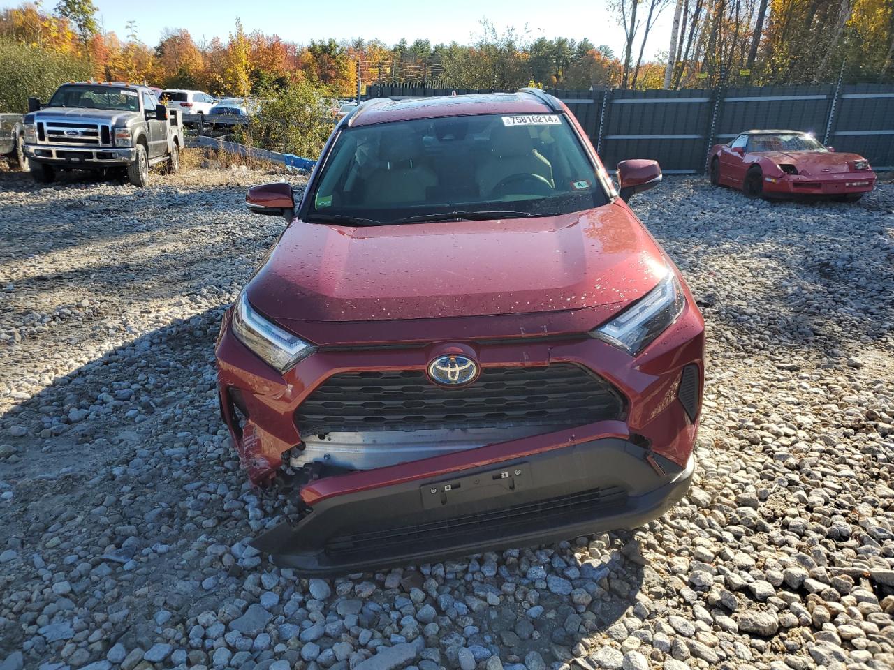2022 TOYOTA RAV4 XLE VIN:JTMRWRFV9ND144983