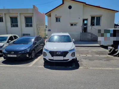 2019 Hyundai Santa FE KMHS381BDKU161183 VIN:KMHS381BDKU161183