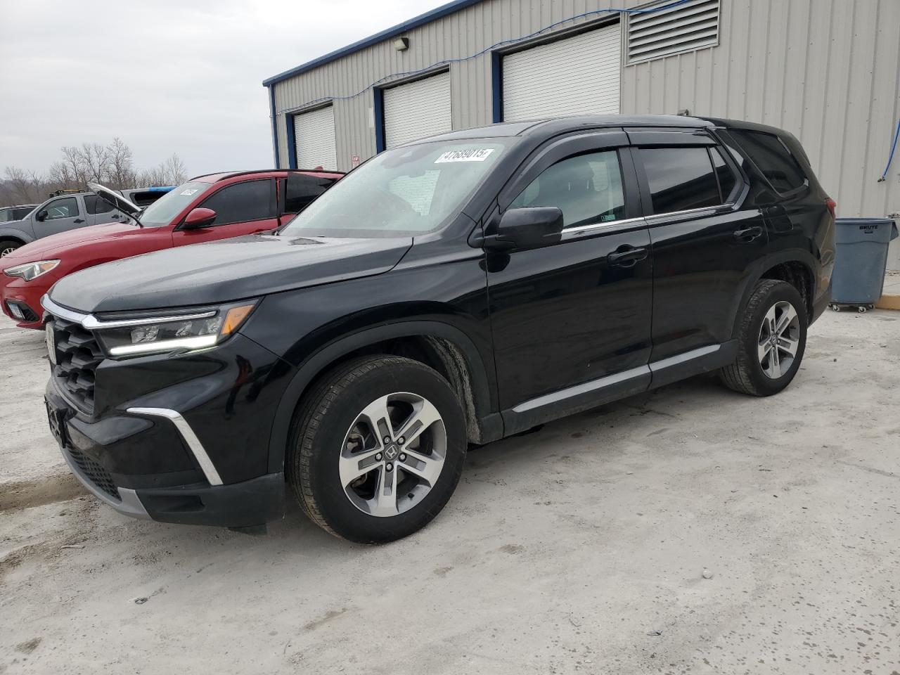 2023 HONDA PILOT EXL VIN:5FNYG1H49PB058440