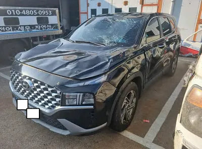 2021 Hyundai Santa FE KMHS281HGMU323845 VIN:KMHS281HGMU323845