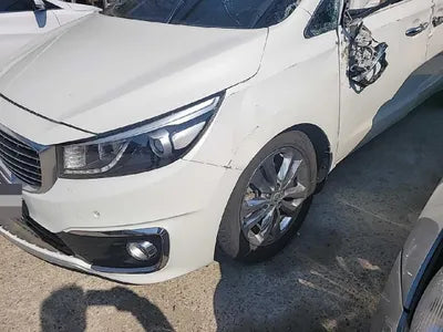 2015 Kia Carnival KNAMC81ABGS162609 VIN:KNAMC81ABGS162609